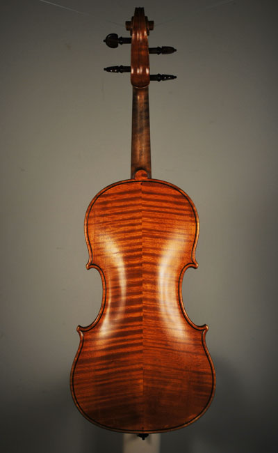 Back View