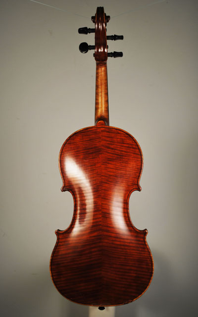 Back View
