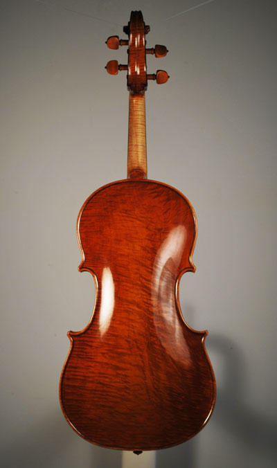 Back View