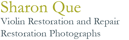 Sharon Que graphic