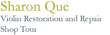 Sharon Que Shop Tour Graphic